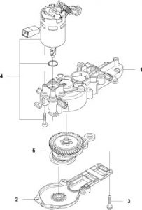 Bevel Gear